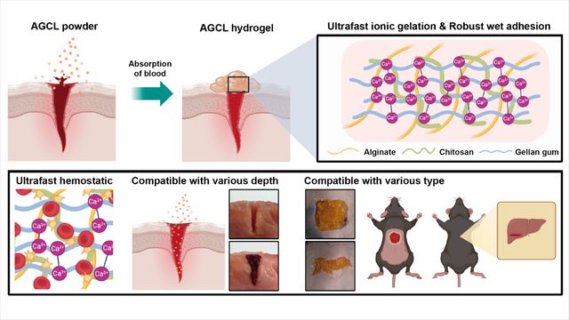 An ionic gelation powder for ultrafast hemostasis and accelerated wound healing