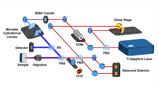 Asymmetric-beam steady-state thermoreflectance for three dimensional anisotropic thermal conductivity measurements