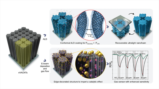 Nanotransfer Printing for Synthesis of Vertically Aligned Carbon Nanotubes with Enhanced Atomic Penetration